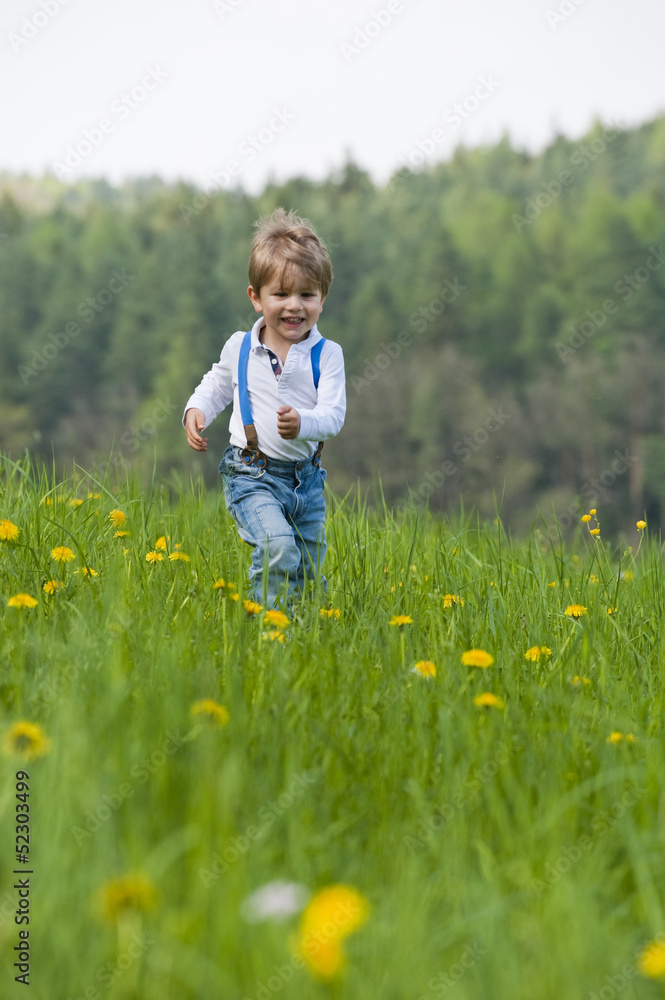 Kleiner Junge in einer Wiese