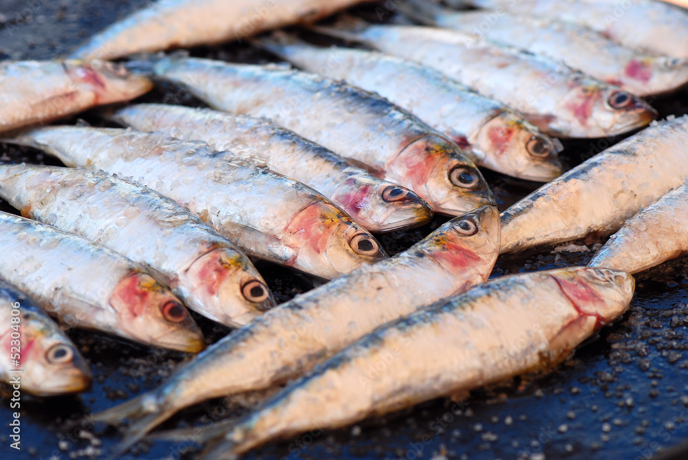 SARDINAS ASADAS FRESCAS, A LA PLANCHA. PRIMER PLANO SARDINAS ASADAS FRESCAS, A LA PLANCHA. PRIMER PLANO