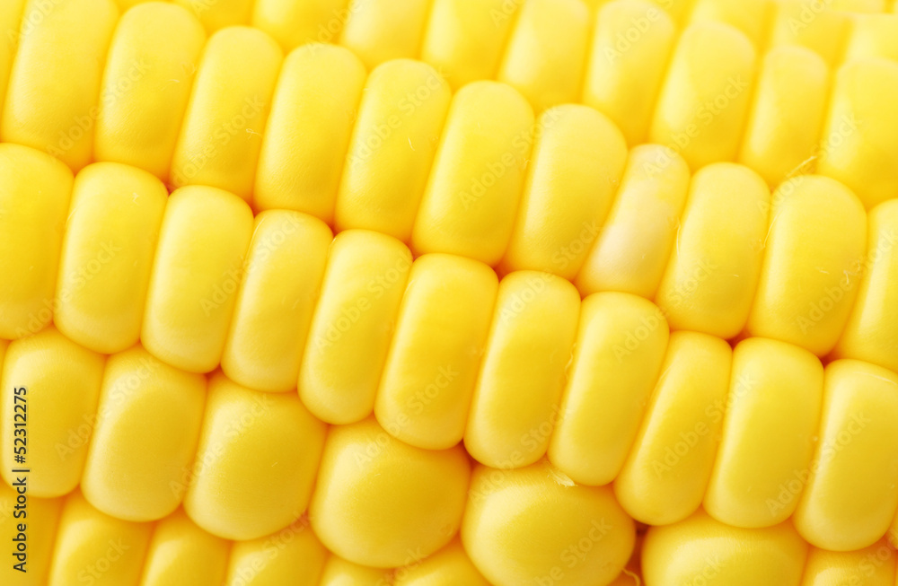 corn close up corn close up