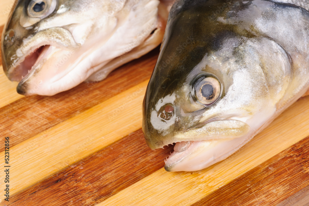 Salmon's heads on cutting board, isolated on white background Salmon's heads on cutting board, isolated on white background