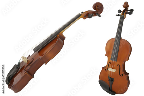 violin