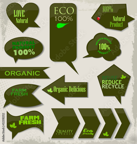 Modern Eco And Bio Labels Collection