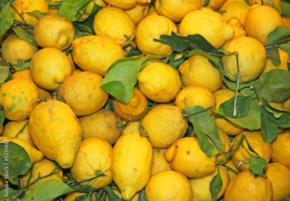 wallpapers of ripe lemons from Sicily yellow excellent to make l