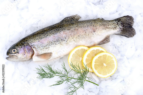 Fresh trout on ice