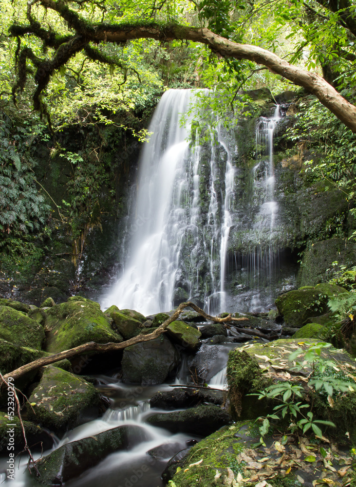 Obraz premium Neuseeland, Matai Falls