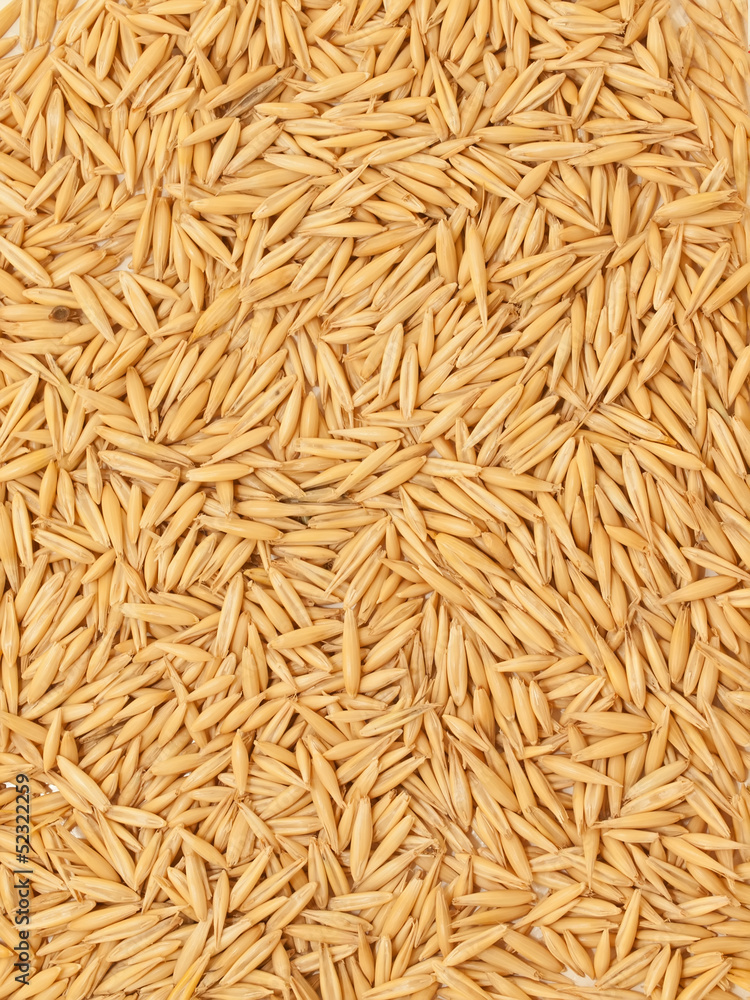natural oat grains background, closeup natural oat grains background, closeup