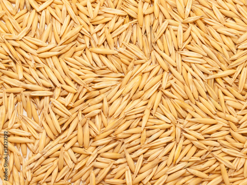 Fototapeta Naklejka Na Ścianę i Meble -  natural oat grains background, closeup