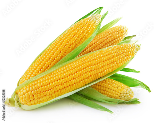 Canvas Print corn