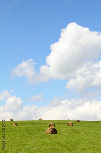 Summer field with hay bales