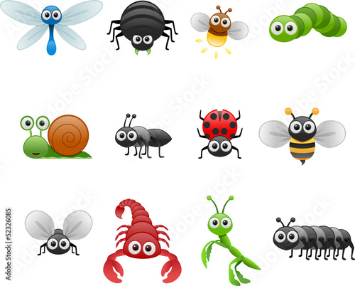 cartoon insect set