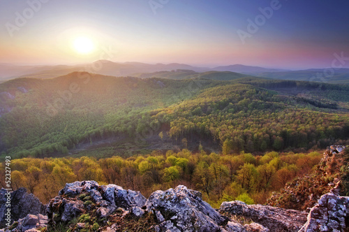 Forest mountain sunset © TTstudio