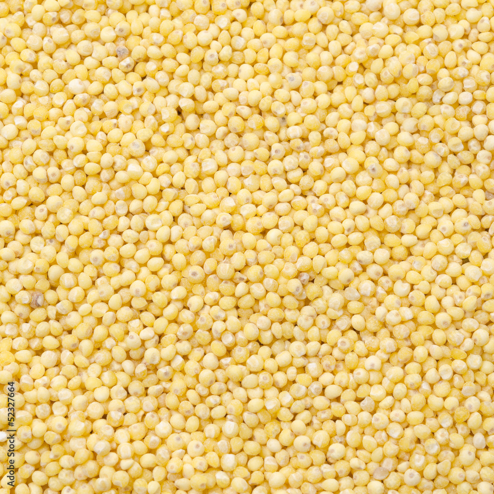 millet background millet background