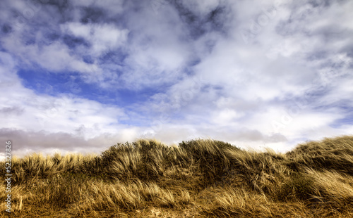 Dunes at the Danish North Sea coast on Fano photo