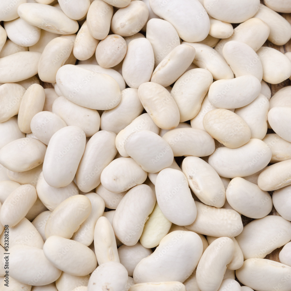 white beans background white beans background