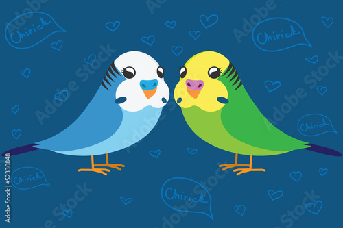 Two cute budgerigar in love