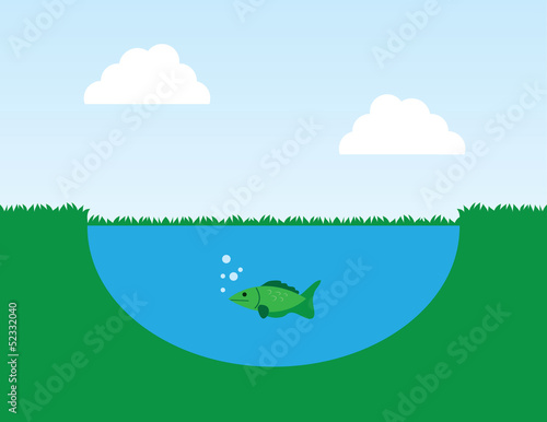 Fish in a pond with surrounding grass