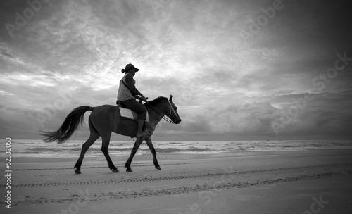 Black and White lonely horse rider