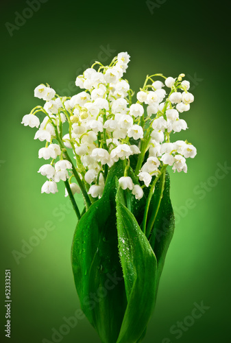 Fototapeta Naklejka Na Ścianę i Meble -  Bukiet białych konwalii