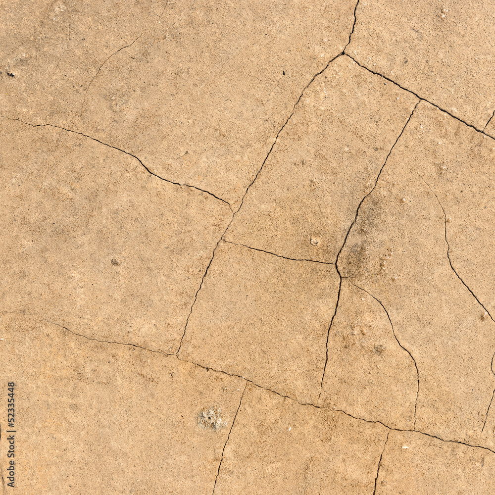 Fototapeta premium texture of dry cracked earth background .