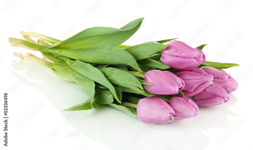 Beautiful bouquet of purple tulips, isolated on white Beautiful bouquet of purple tulips, isolated on white