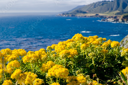 Scenic Vista on California State Route 1