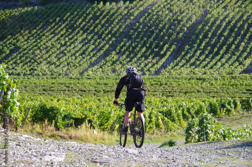 en vtt dans les vignes photo