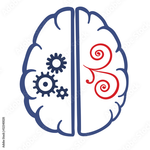 two parts of human brain