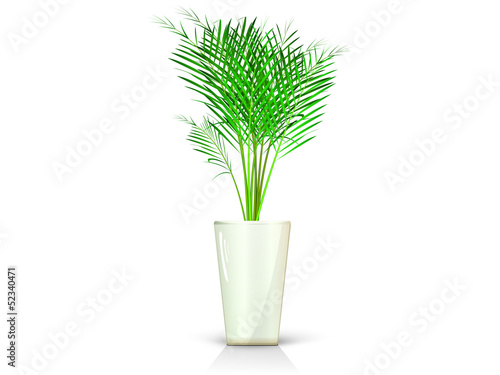 beige vase with palm