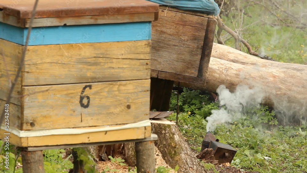 The apiary. smoker The apiary. smoker