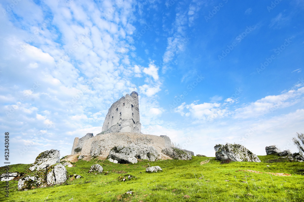 Ruins of medieval castle Mirow in Poland