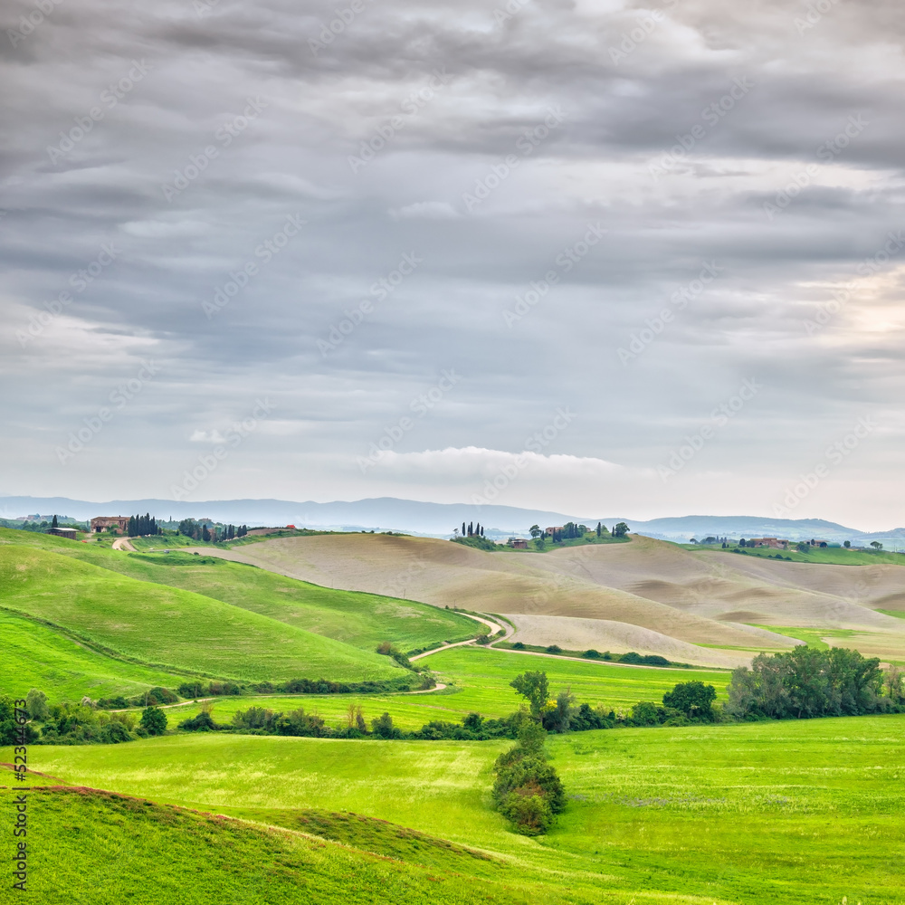 Tuscany, rural landscape. Farmland, white road and trees. Italy.