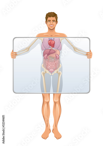 Anatomy of human body