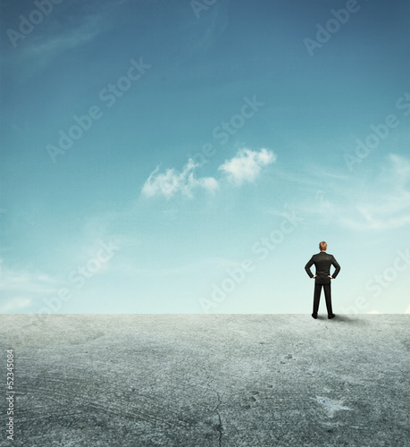 Businessman observing the desert landscape