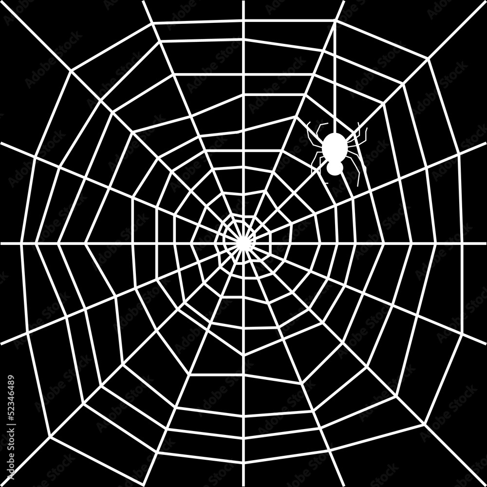 Obraz premium cobweb with spider silhouette vector