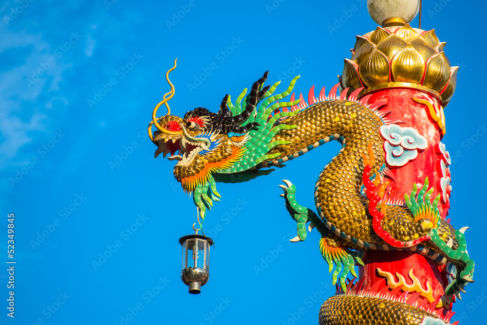 Fototapeta premium the golden dragon