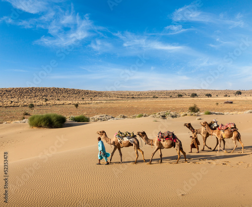 Two cameleers with camels in dunes of Thar deser