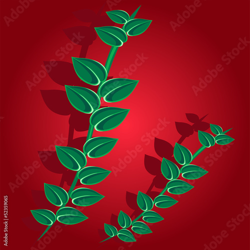 Leaves