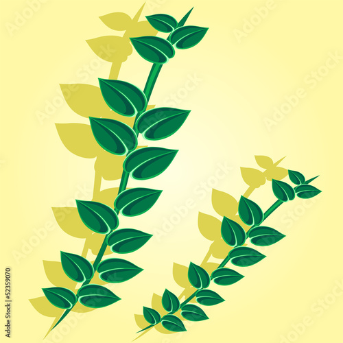 Leaves