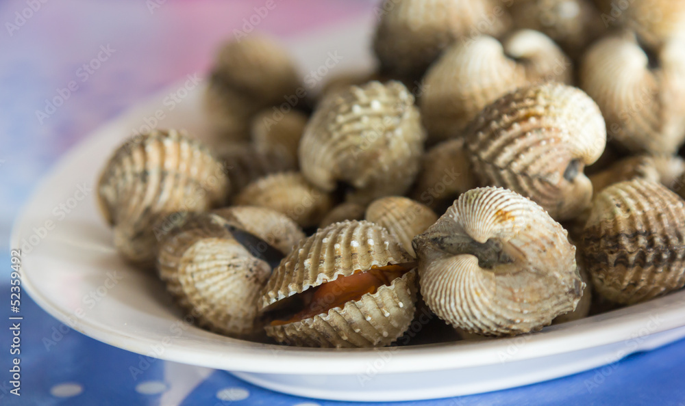 Fresh blanched cockles Fresh blanched cockles