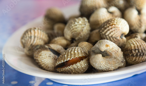 Fresh blanched cockles