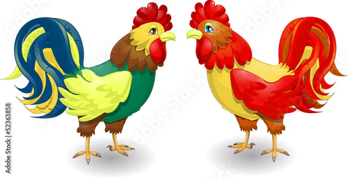 cock