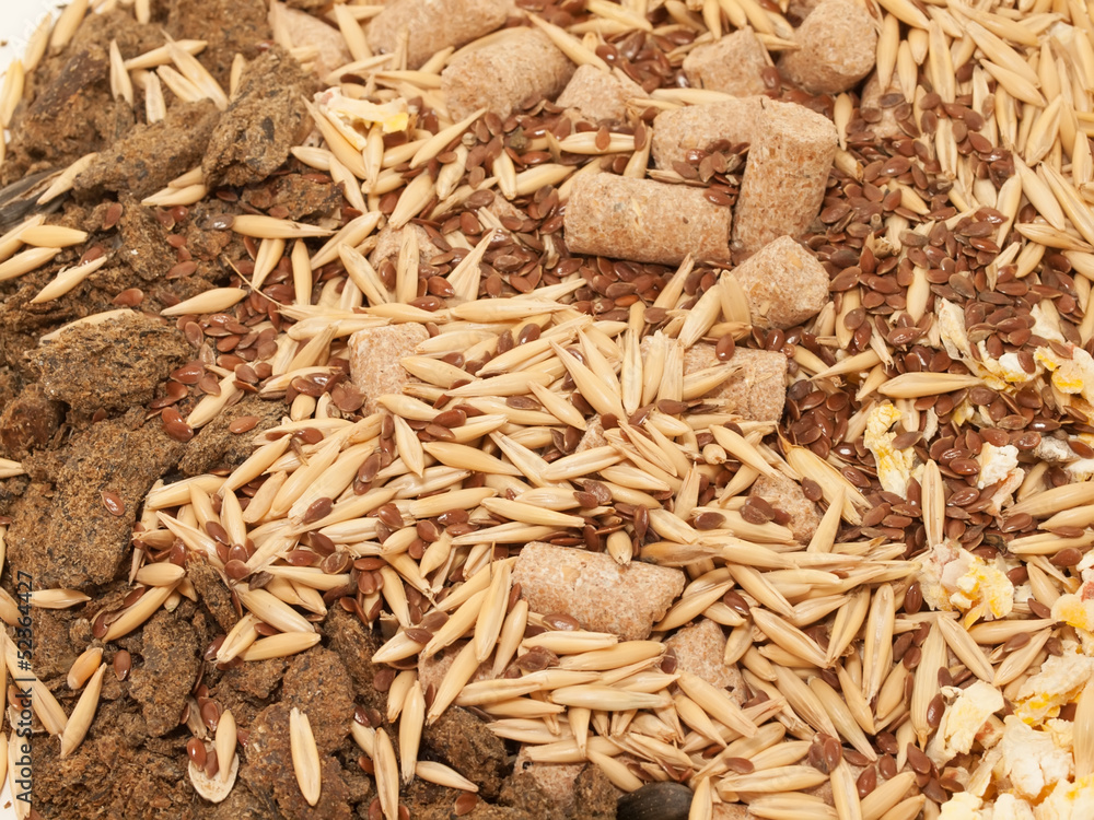 muesli for horse background. close up muesli for horse background. close up