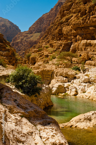the wadi shab with emerald green water