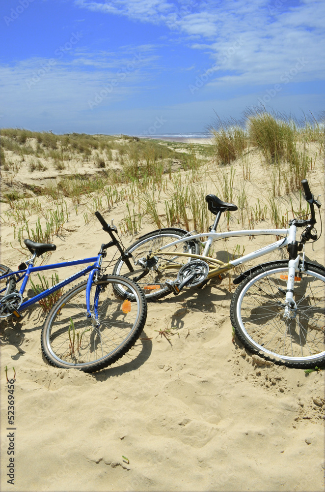 Fototapeta premium vélo sur les dunes