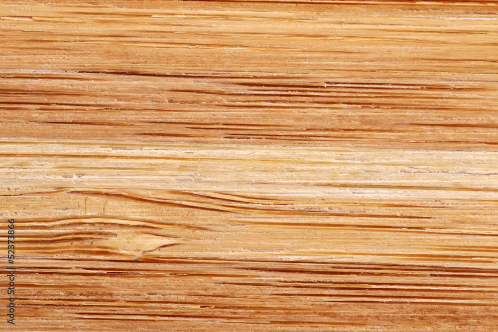 Bamboo texture with horizontal stripes Bamboo texture with horizontal stripes