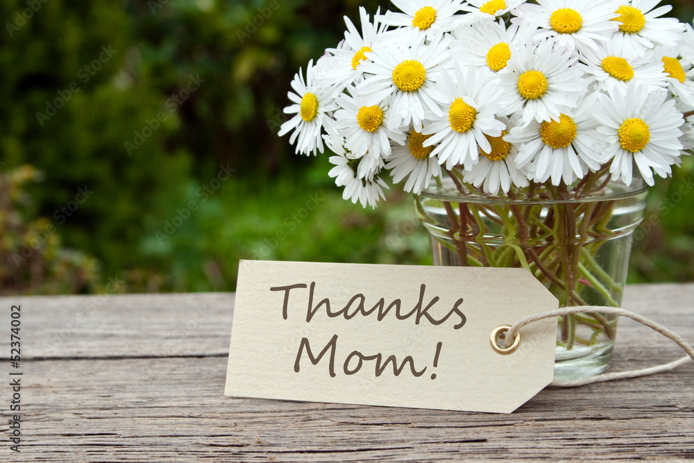 Naklejka premium Thanks mom