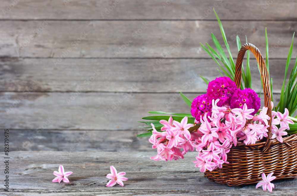 spring flowers on wooden background spring flowers on wooden background