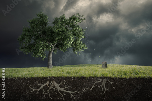 Photography The soul of the nature