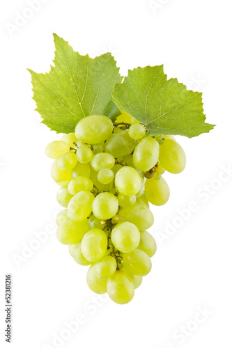 Grapes on white