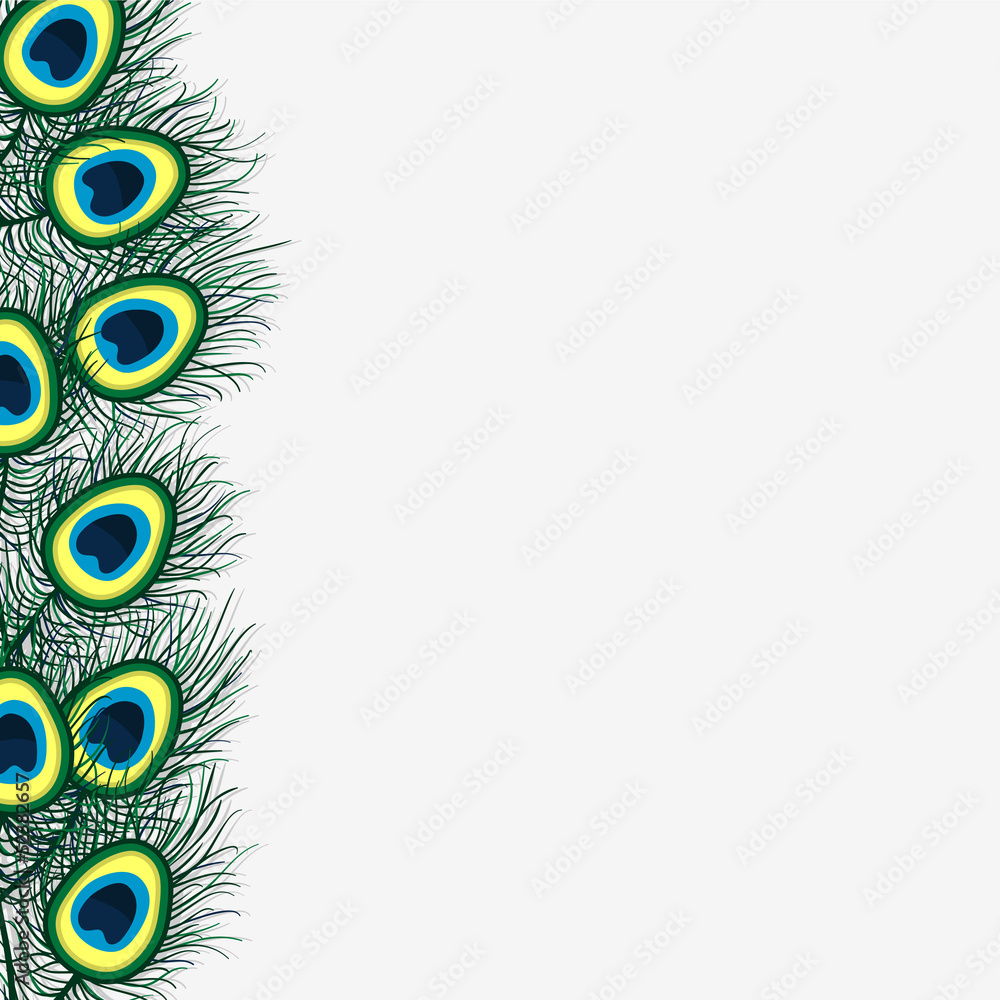 Obraz premium Background design with peacock feathers
